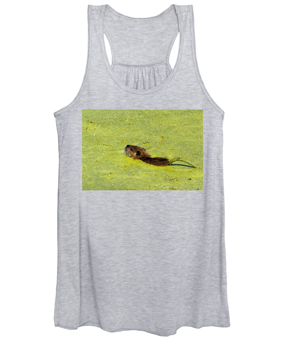 Muskrat Women's Tank Top featuring the photograph Swimming in Pea Soup - Baby Muskrat by Belinda Greb