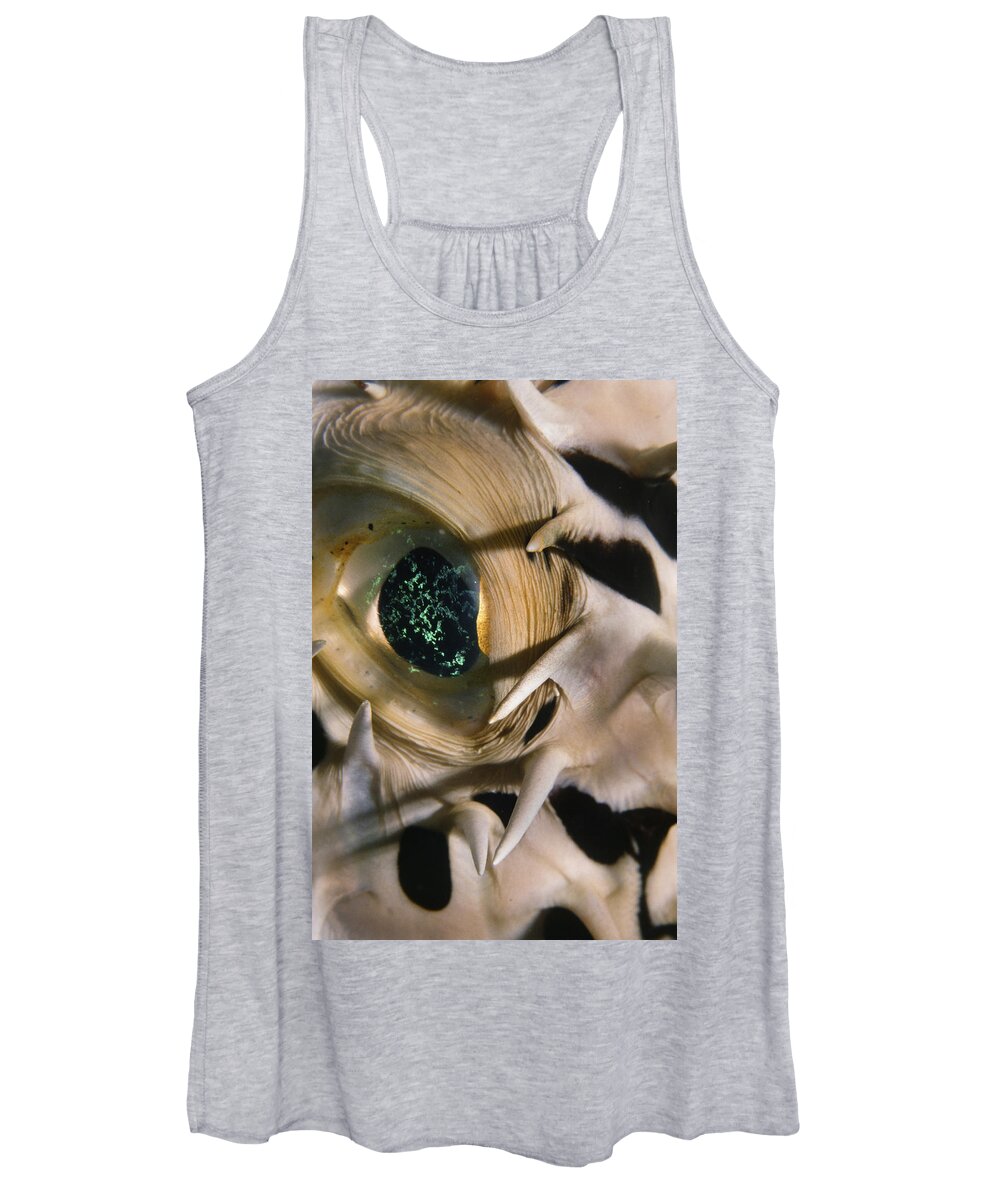 Art Women's Tank Top featuring the photograph The Eye Of A Pufferfish by Sandra Edwards