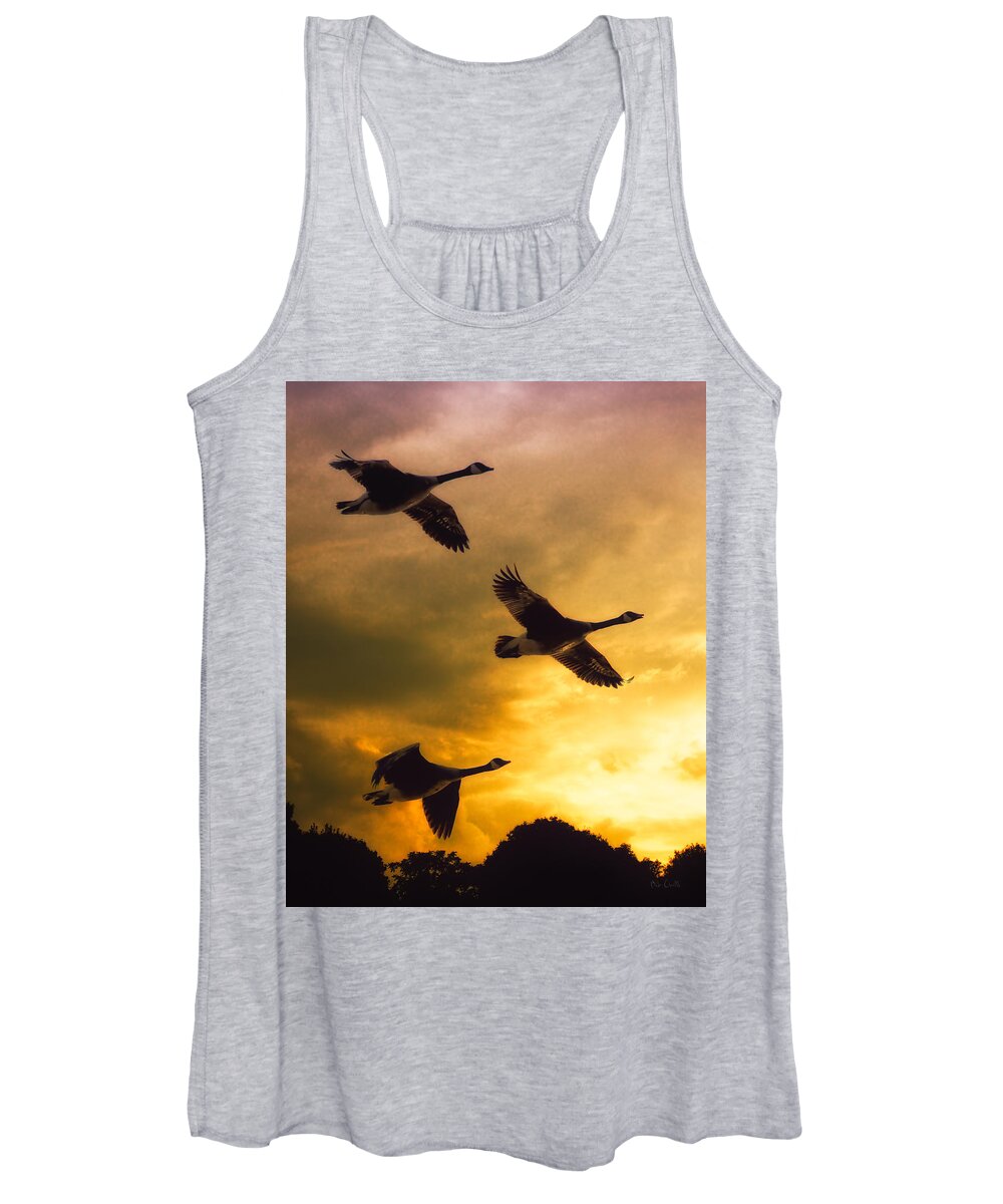 Geese Women's Tank Top featuring the photograph The Journey South by Bob Orsillo