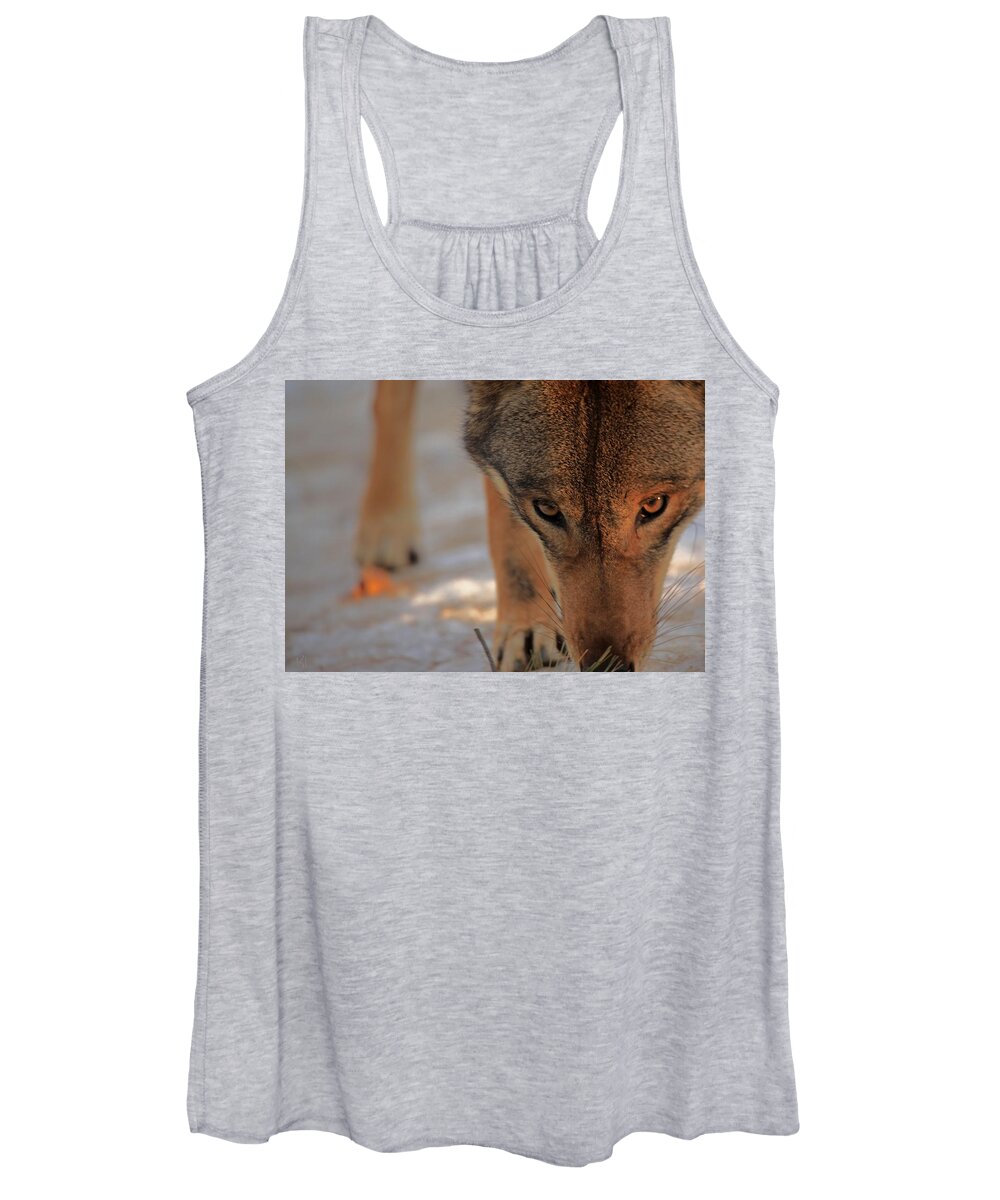 Wolf Women's Tank Top featuring the photograph Those Eyes by Karol Livote