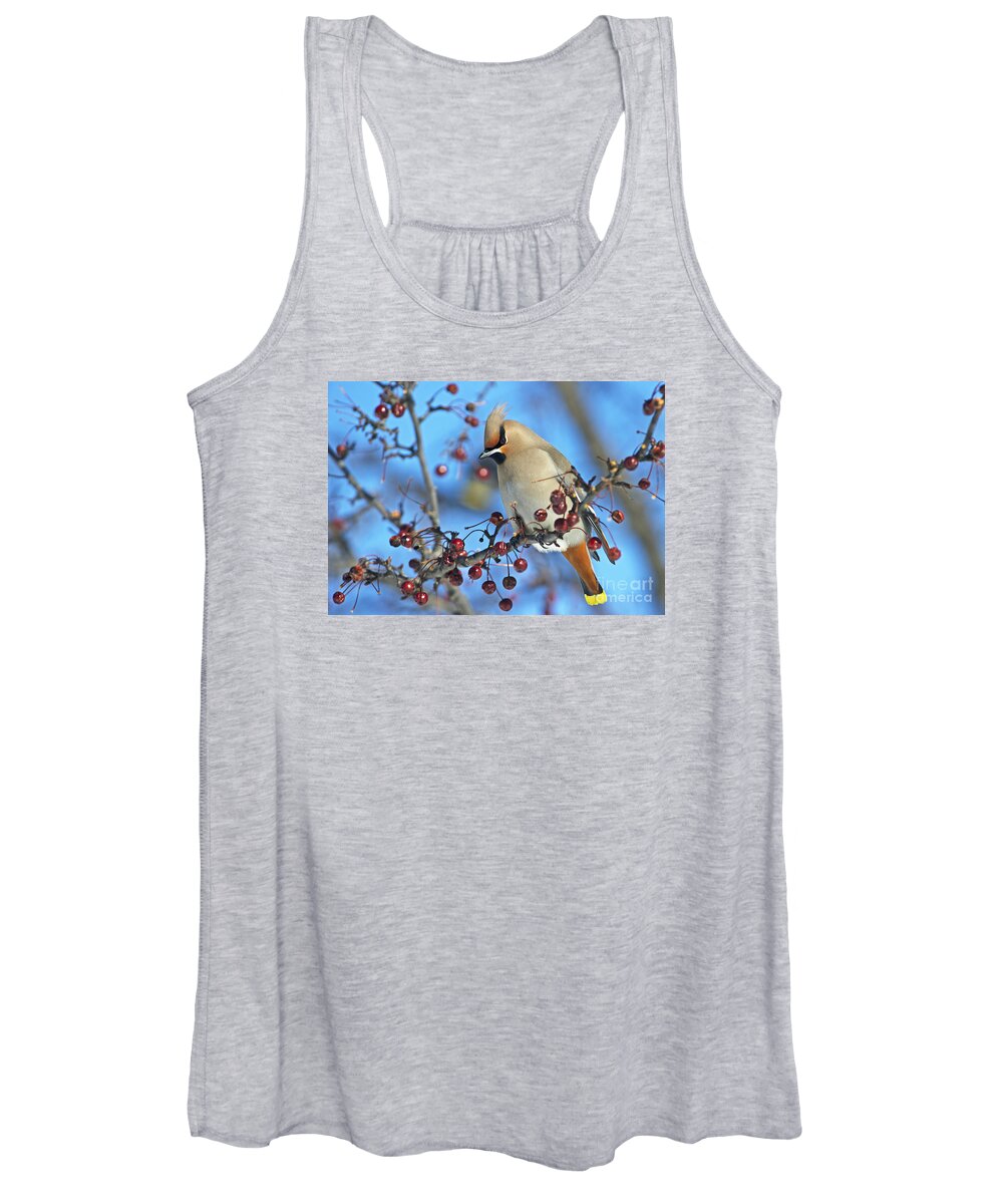 Festblues Women's Tank Top featuring the photograph Winter Colors.. by Nina Stavlund