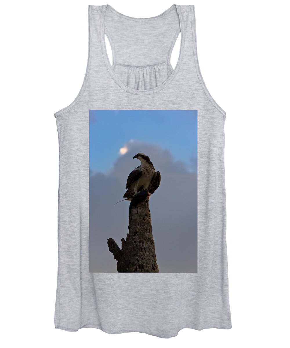 Bird Women's Tank Top featuring the photograph Osprey with Catch #1 by Ed Gleichman