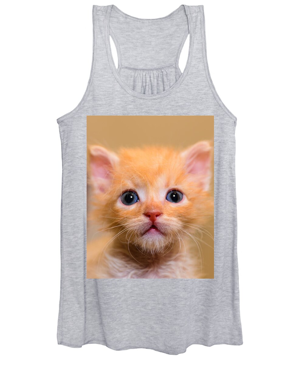 Animal Women's Tank Top featuring the photograph Kitty #7 by Michael Goyberg