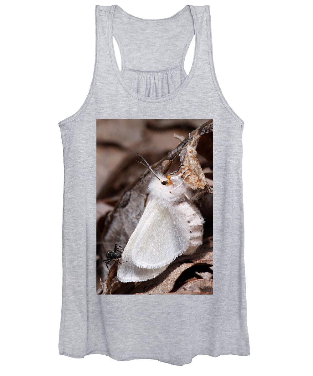 Spilosoma Congrua Women's Tank Top featuring the photograph Agreeable Tiger Moth With Ant by Daniel Reed
