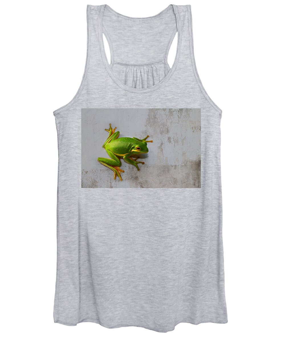 Hyla Cinerea Women's Tank Top featuring the photograph Beautiful American Green Tree Frog on Grunge Background by Kathy Clark