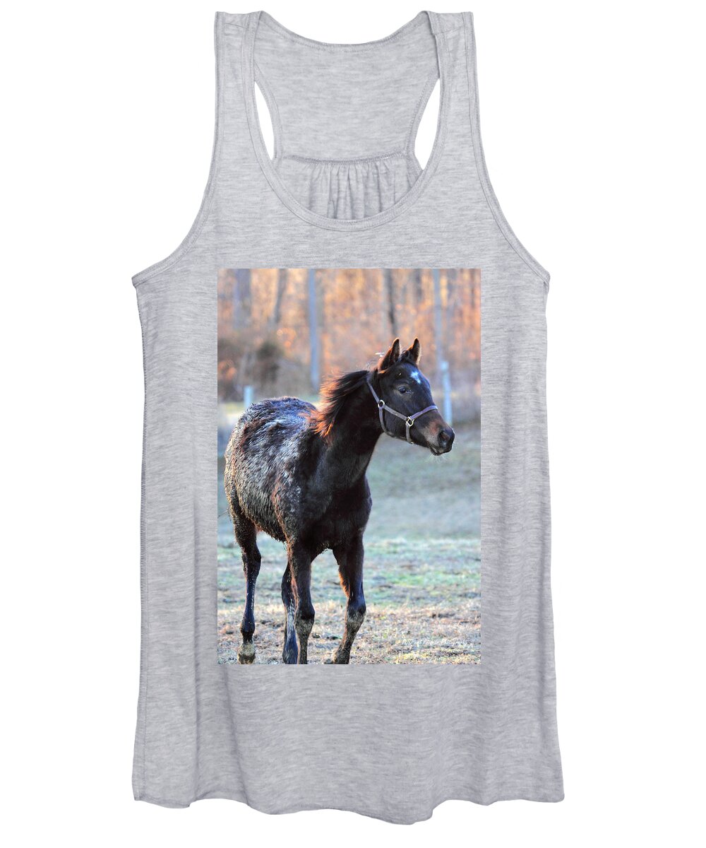  Women's Tank Top featuring the photograph 'Diamond in the Rough' by PJQandFriends Photography
