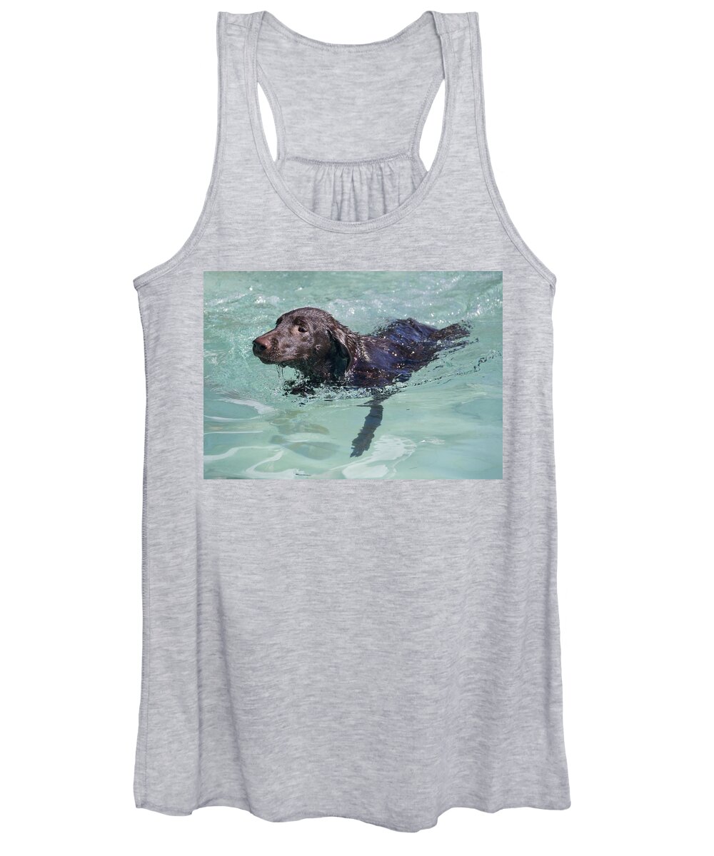 Chocolate Lab Women's Tank Top featuring the photograph First Swim by Sheila Wedegis