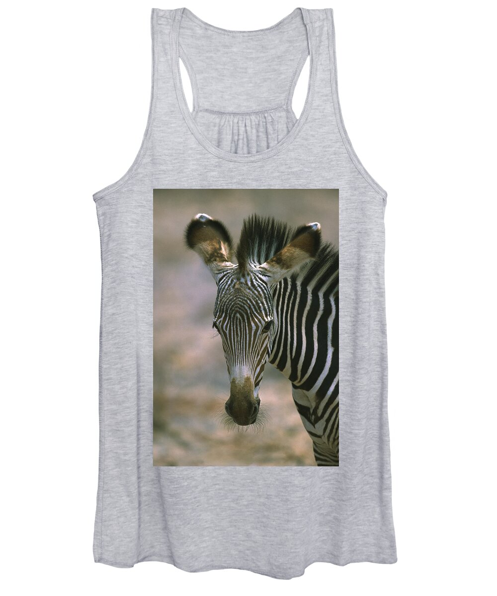 Flpa Women's Tank Top featuring the photograph Grevys Zebra Equus Grevyi Foal, Kenya by Martin Withers