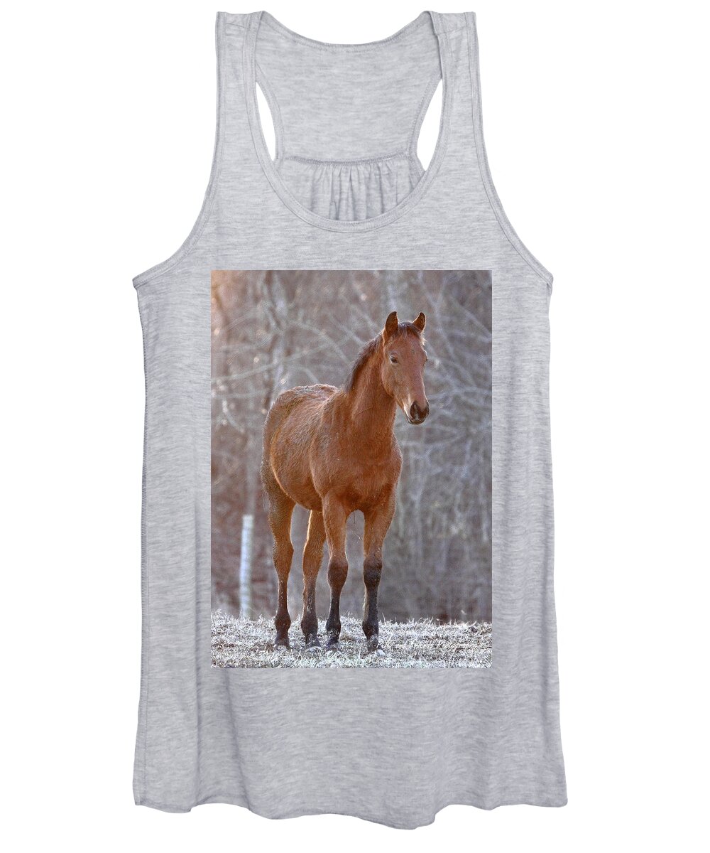  Women's Tank Top featuring the photograph 'One Day I Will Race' by PJQandFriends Photography