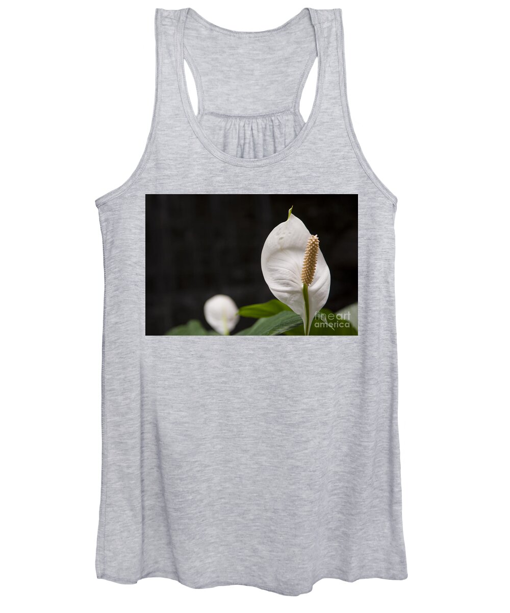 Flower Women's Tank Top featuring the photograph Closeup shot of the Peace Lily Spathiphyllum by Dejan Jovanovic
