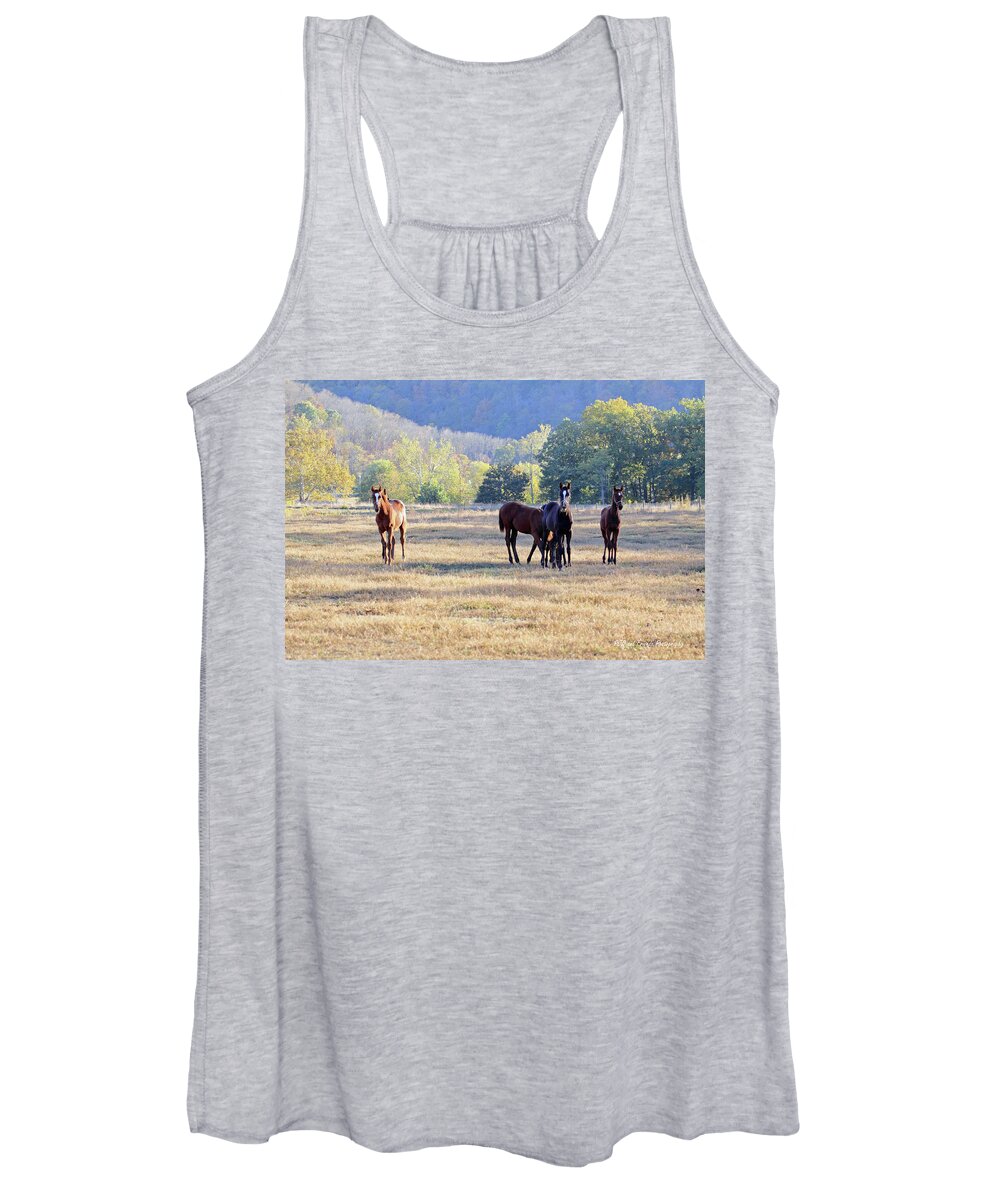Thorougbred Race Horse Women's Tank Top featuring the photograph 'Youngsters in the Paddock' by PJQandFriends Photography