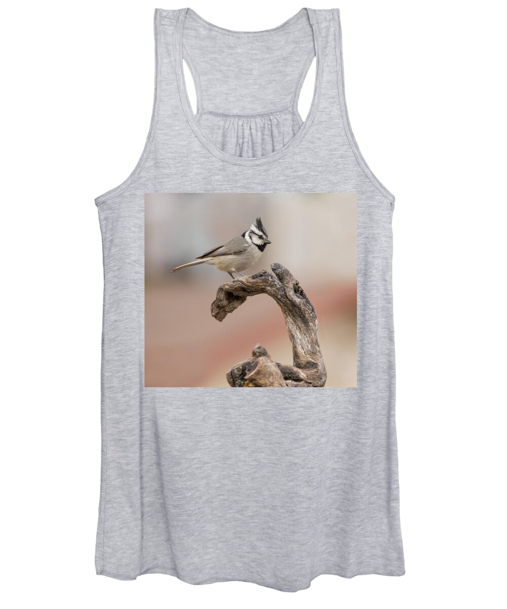 Bridled_titmouse Women's Tank Top featuring the photograph Bridled Titmouse #3 by Tam Ryan