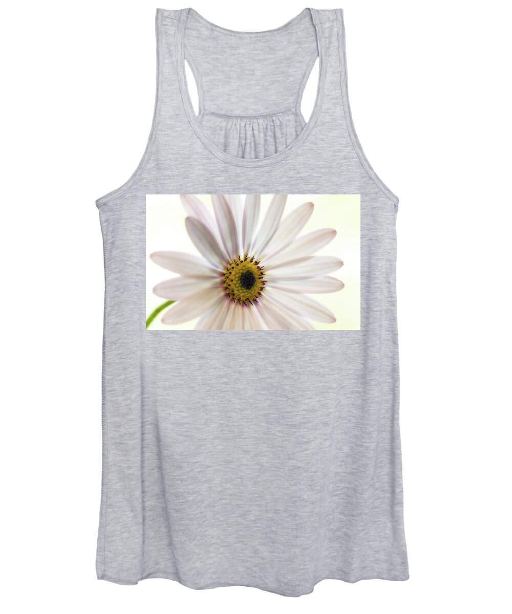 Floral Women's Tank Top featuring the photograph Cape Daisy #3 by Shirley Mitchell
