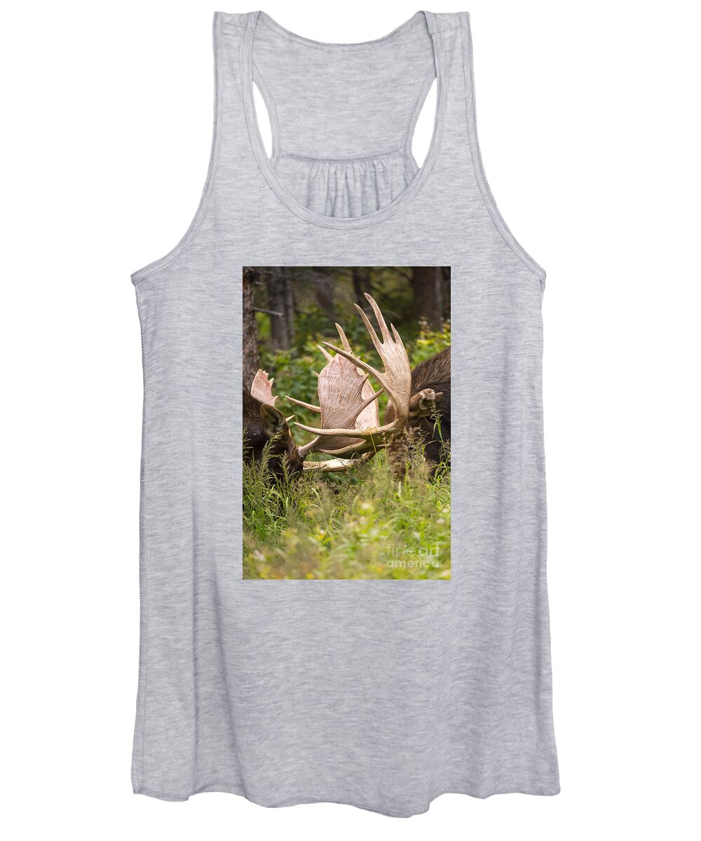 Bull Moose Women's Tank Top featuring the photograph Engaged by Aaron Whittemore