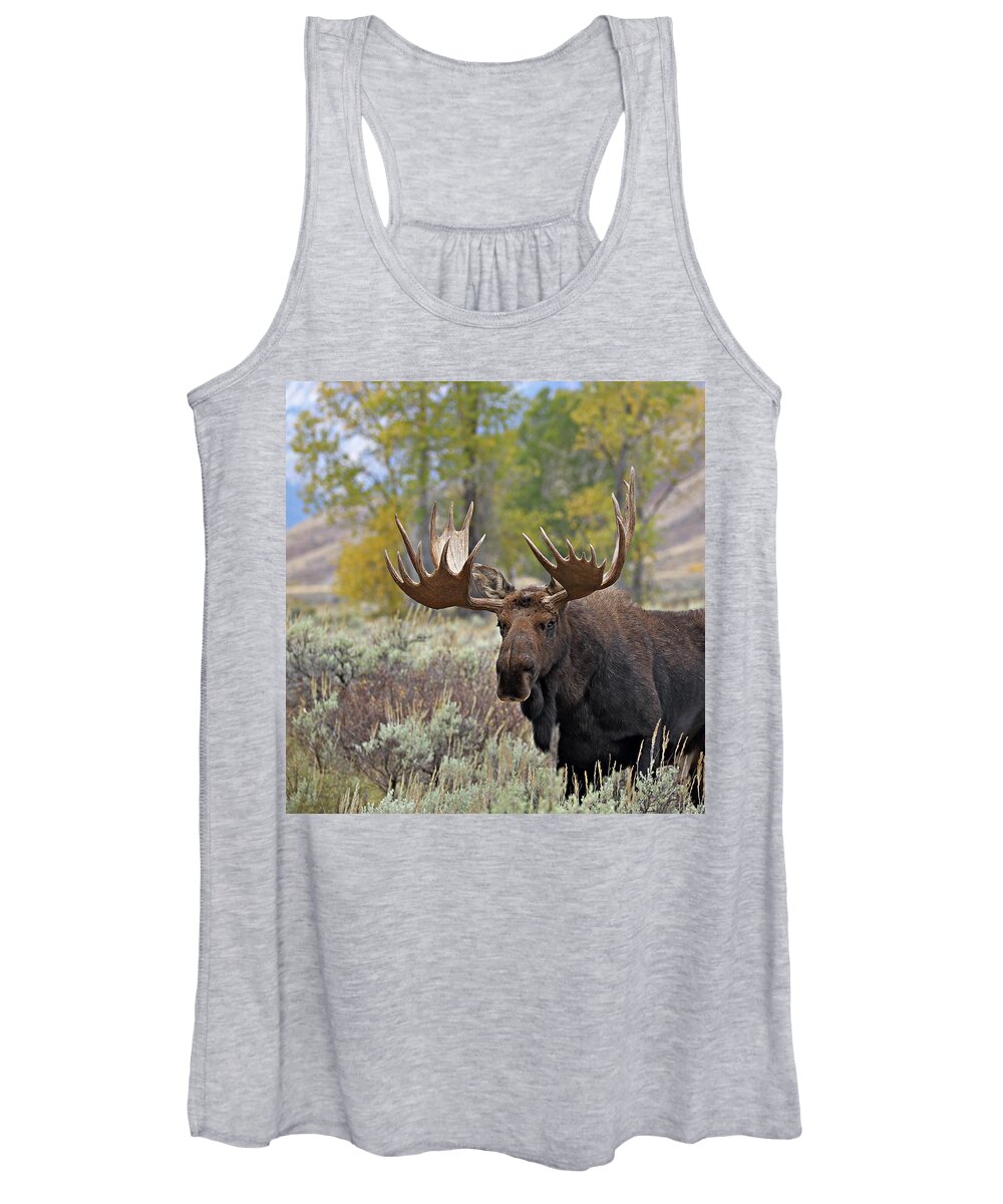 Bull Women's Tank Top featuring the photograph Handsome Bull #1 by Jean Clark