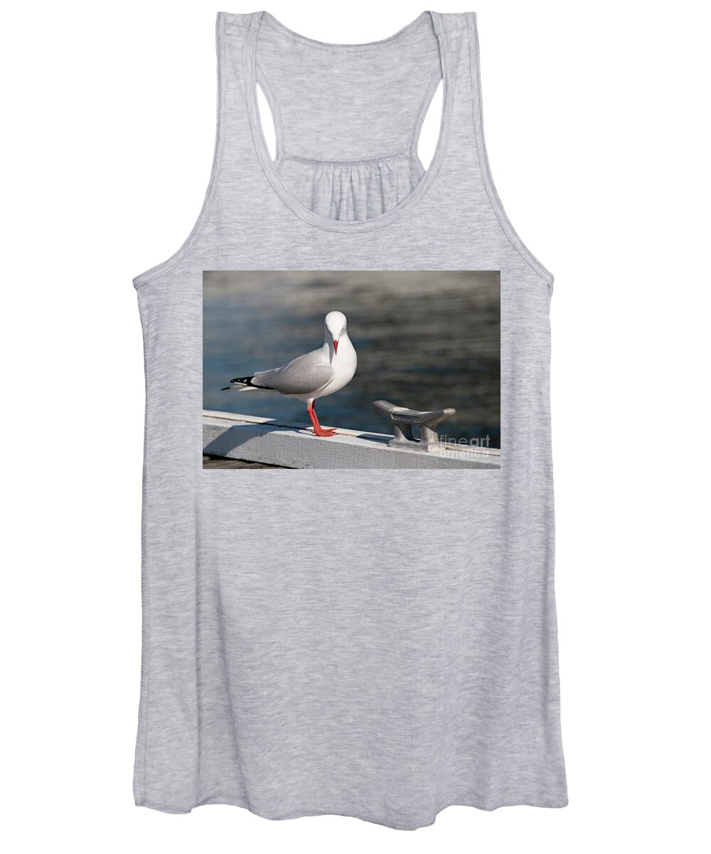 Nature Photography Women's Tank Top featuring the photograph Humble Beauty - Seagull #1 by Geoff Childs