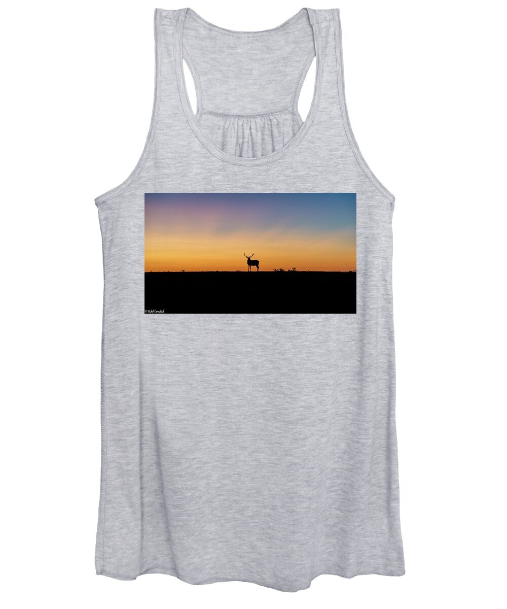 Point Reyes Women's Tank Top featuring the photograph Last Light #1 by Mike Ronnebeck