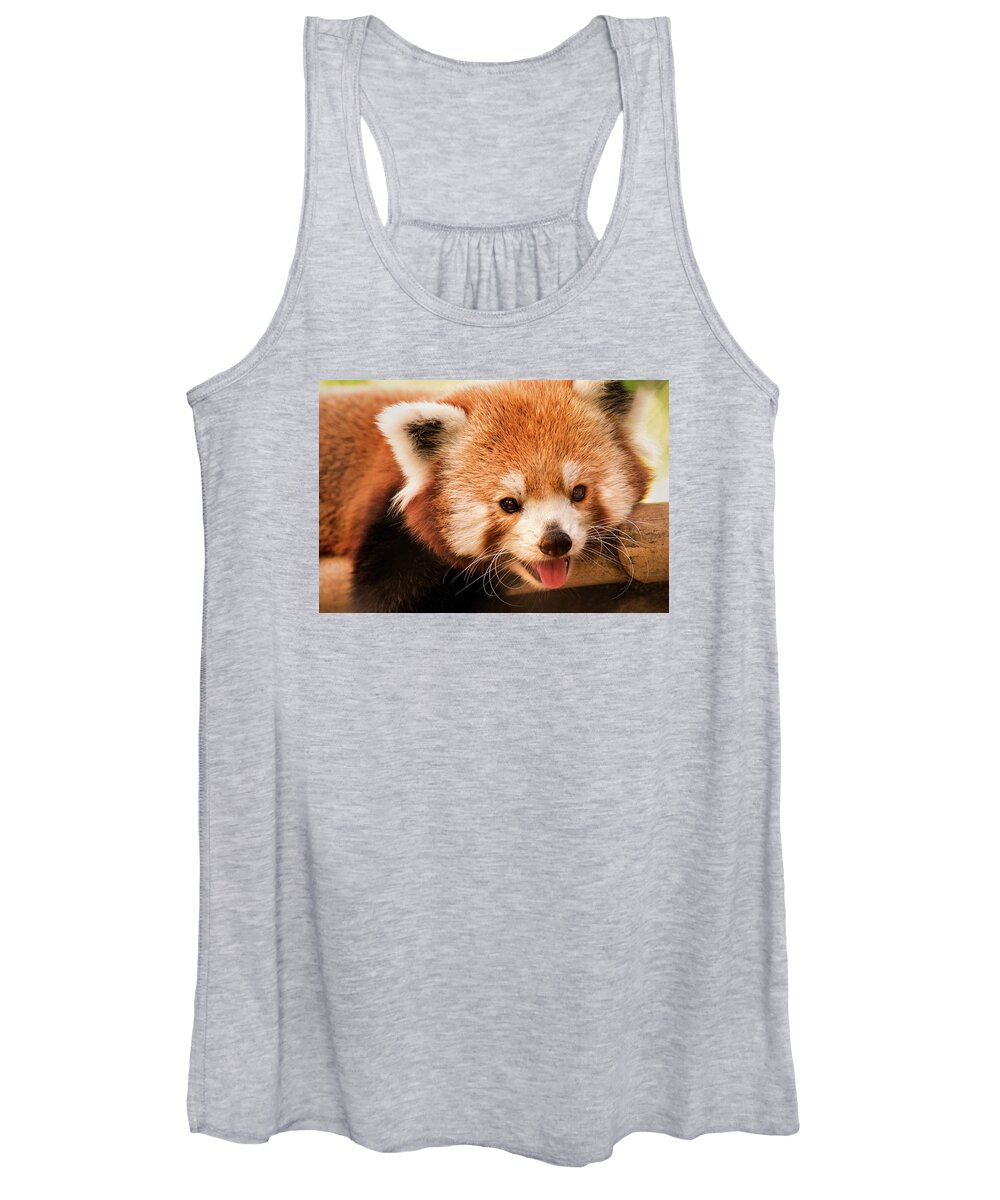 Red Panda Women's Tank Top featuring the photograph Red Panda #1 by Don Johnson