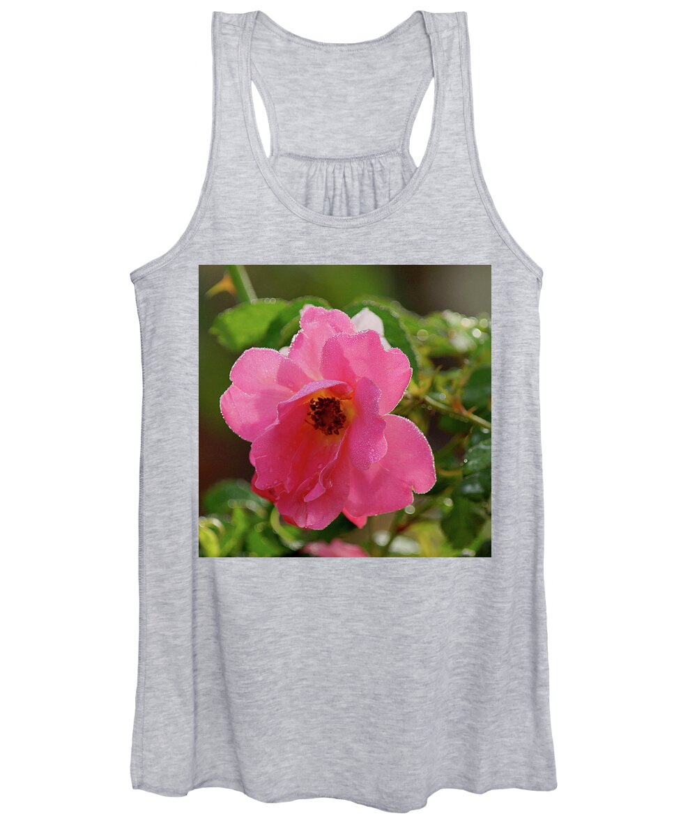 Wild Rose Women's Tank Top featuring the photograph Shining in the Rain #1 by Leda Robertson
