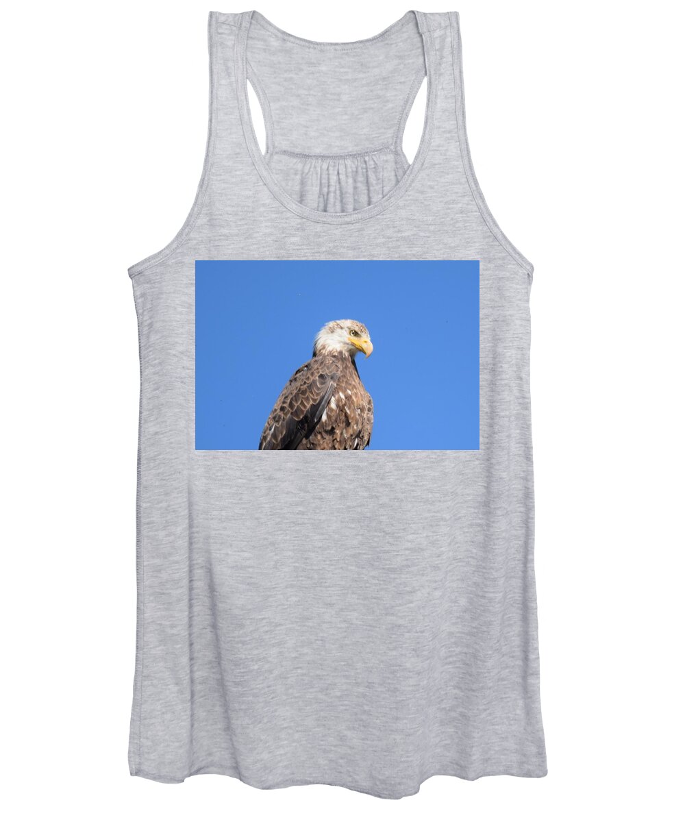 Animal Women's Tank Top featuring the photograph Bald Eagle Juvenile Perched by Margarethe Binkley