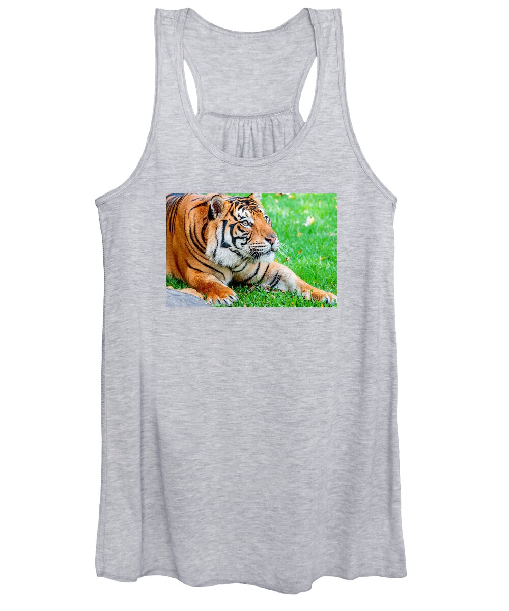 Animal Women's Tank Top featuring the photograph Pre-pounce Tiger #2 by Ray Shiu