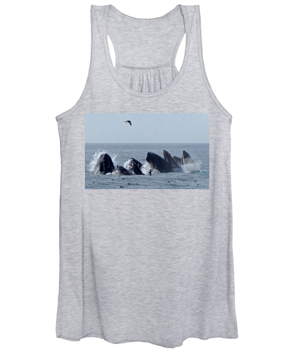 Whale Watch Women's Tank Top featuring the photograph 5 Humpbacks Lunge Feeding #1 by Amelia Racca