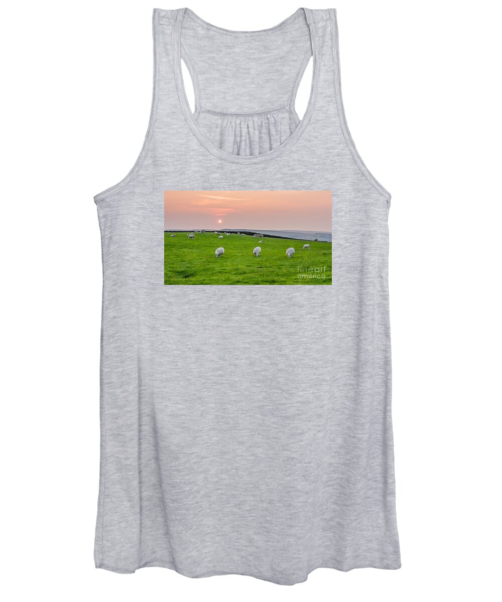 Airedale Women's Tank Top featuring the photograph Sheep #5 by Mariusz Talarek