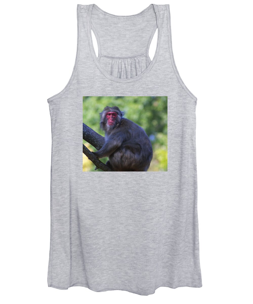Zoo Women's Tank Top featuring the photograph Zoo Scapes #9 by Jean Wolfrum