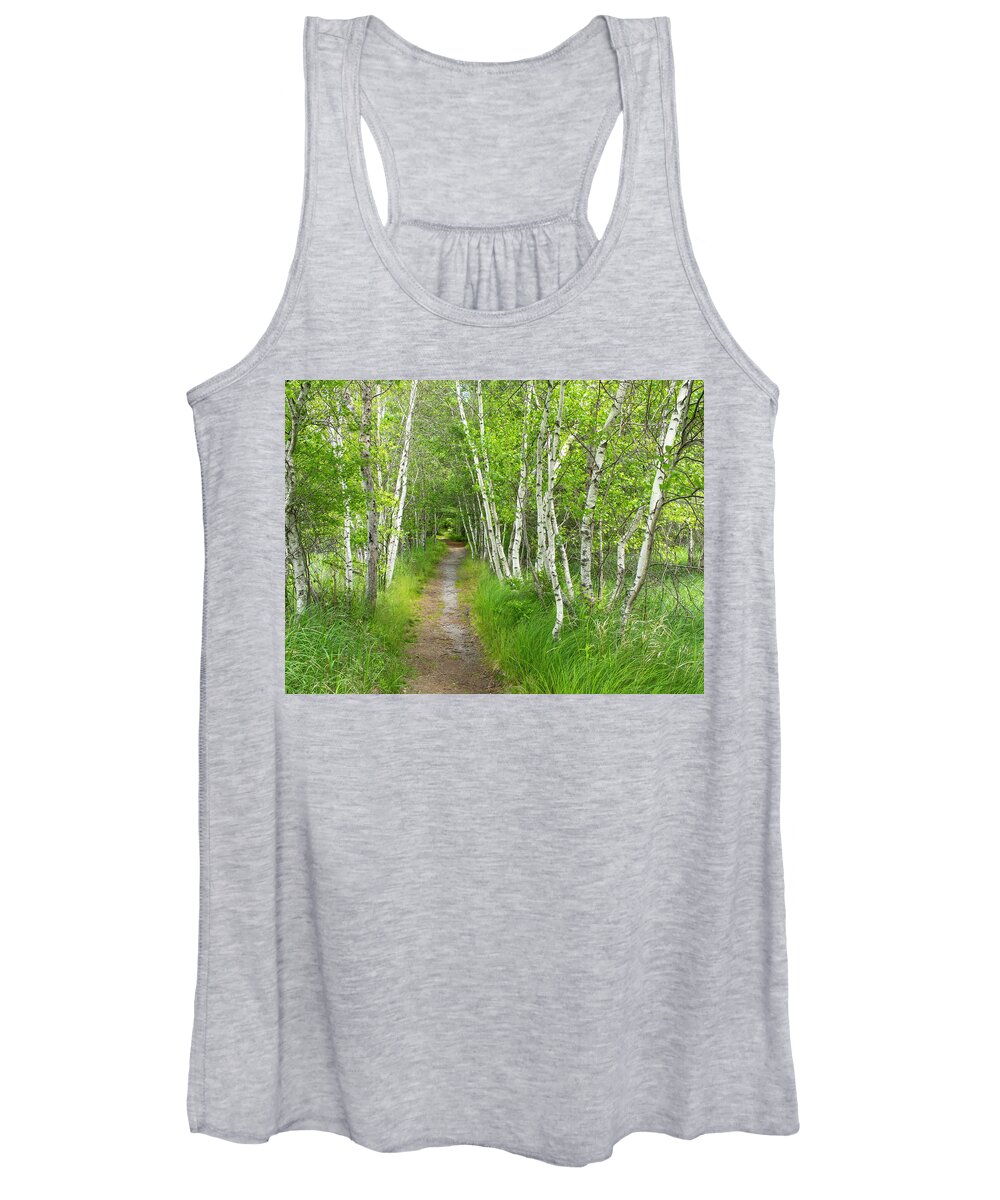 Acadia National Park Women's Tank Top featuring the photograph A Walk in the Woods by Holly Ross