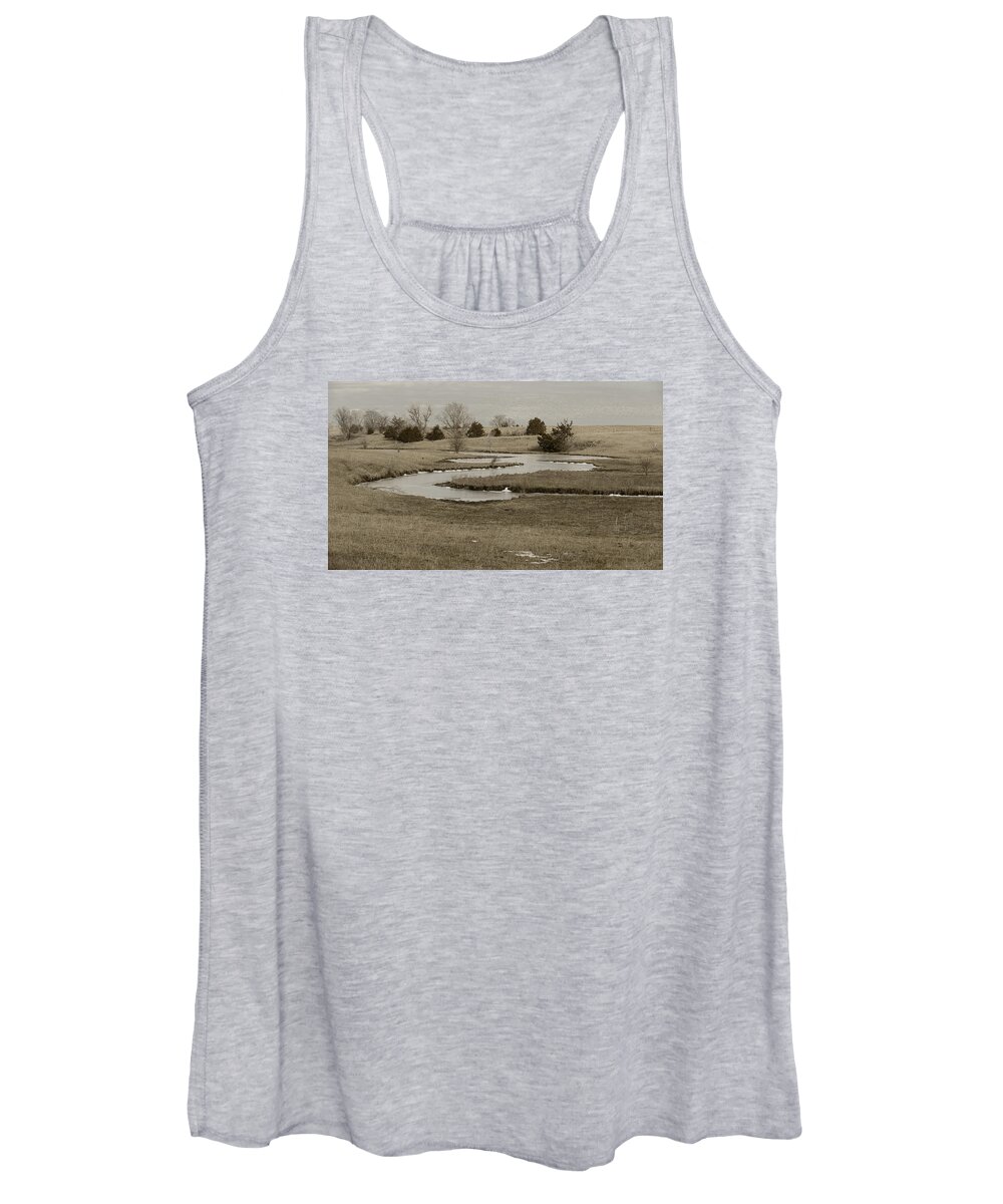 Creek Women's Tank Top featuring the photograph A Winding Creek in Winter as Geese Fly Overhead by Art Whitton