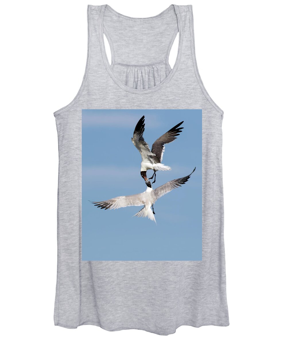 Laughing Gull Women's Tank Top featuring the photograph Air Snatcher by Art Cole