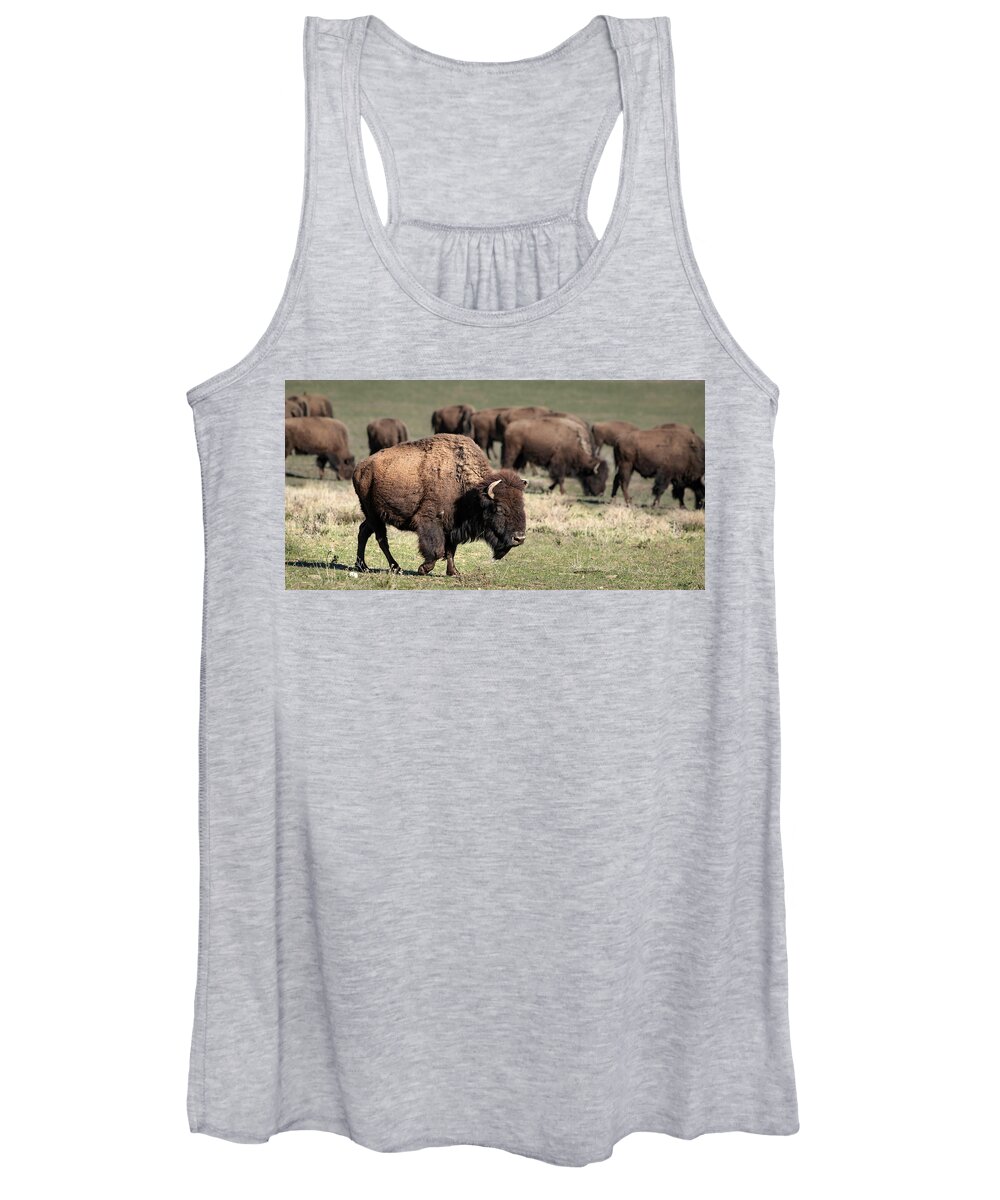 2017 Women's Tank Top featuring the photograph American Bison 5 by James Sage
