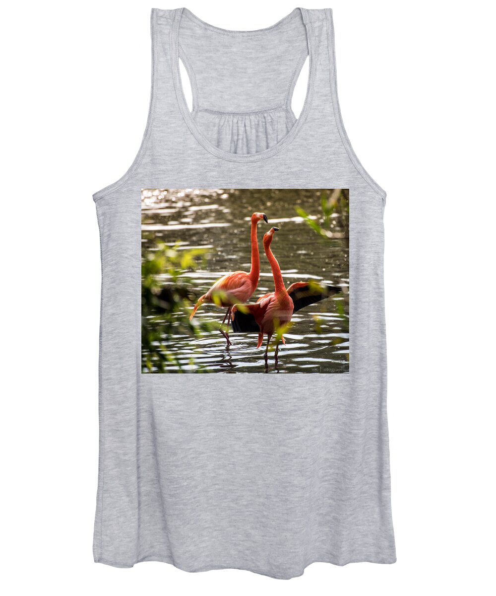Birds Women's Tank Top featuring the photograph American Flamingo by Wendy Carrington