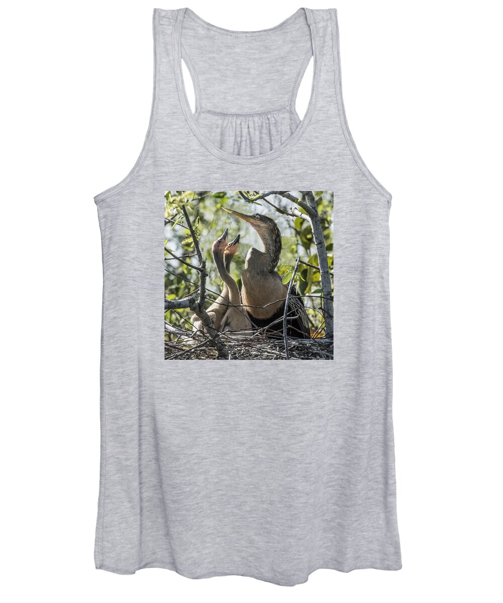Bird Women's Tank Top featuring the photograph Anhinga In Nest With Her Chicks by William Bitman
