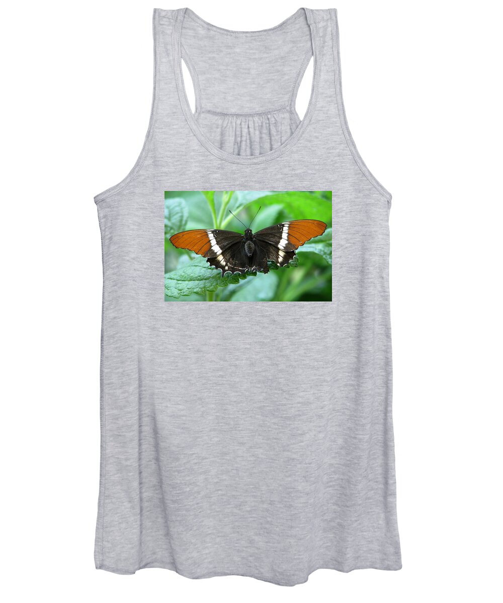 Butterflies Women's Tank Top featuring the photograph At Rest by Angela Davies