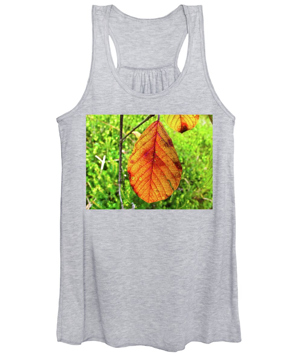 Leaf Women's Tank Top featuring the photograph Autumn by Cesar Vieira