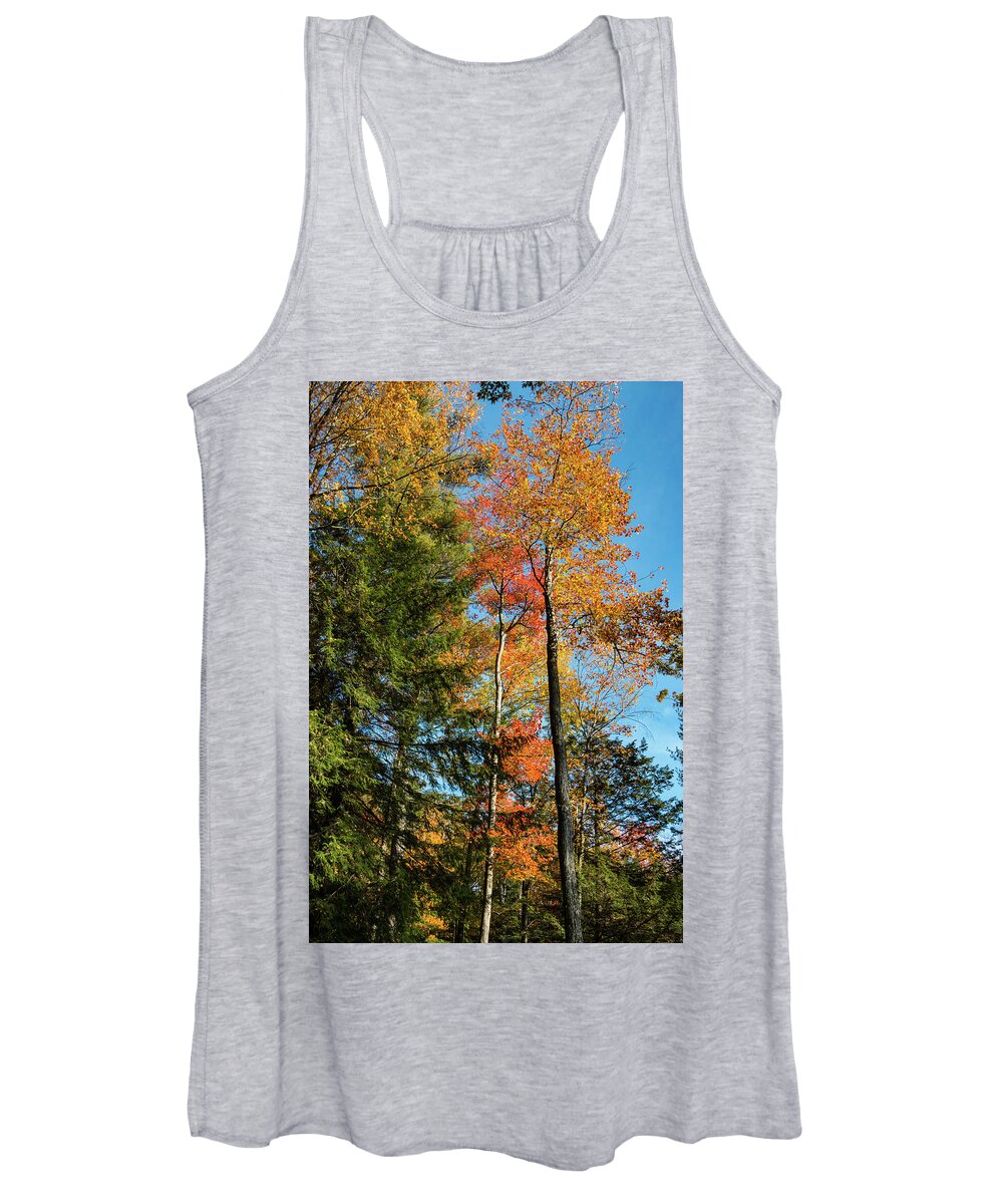 Autumn Women's Tank Top featuring the photograph Autumn Trees by Barry Wills