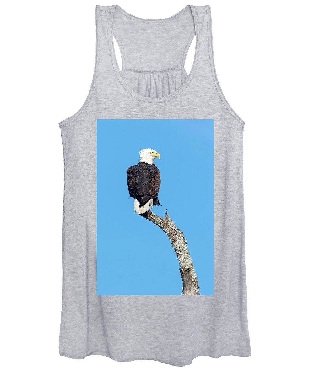 Bald Eagle Women's Tank Top featuring the photograph Bald Eagle by Eilish Palmer