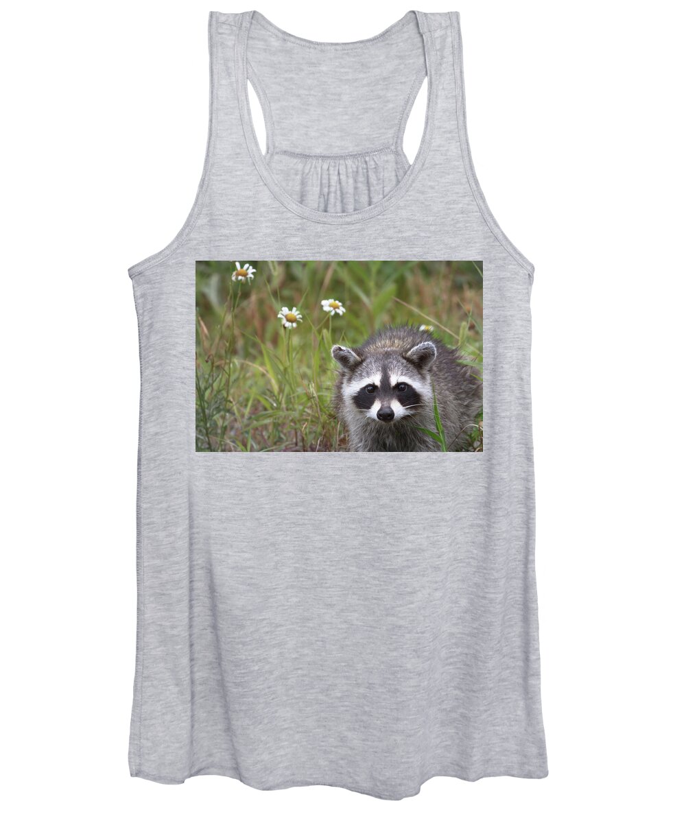 Raccoon Women's Tank Top featuring the photograph Bandit Buddy by Susan Rissi Tregoning