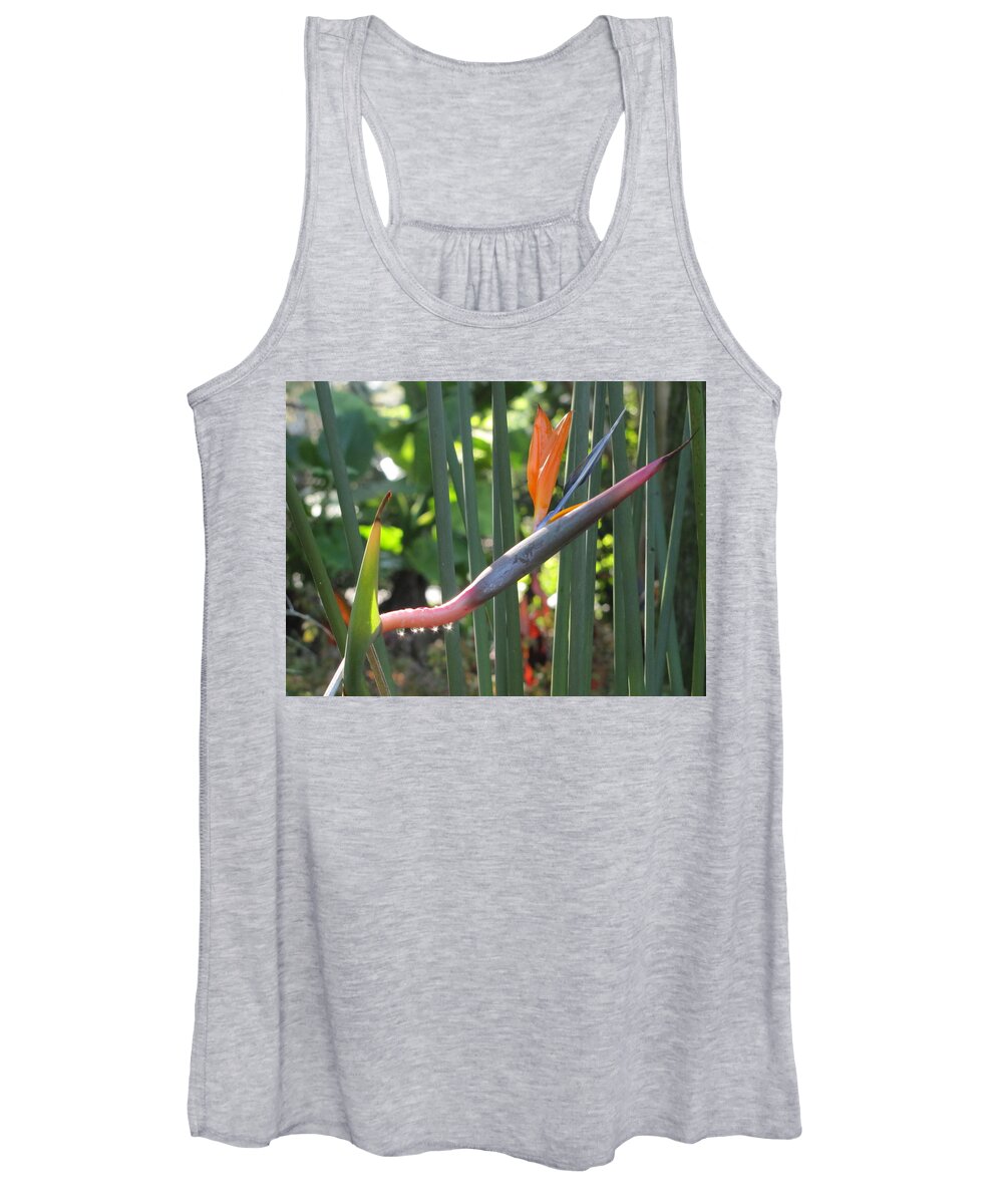 Flower Women's Tank Top featuring the photograph Bird of Paradise Dripping by David Bader