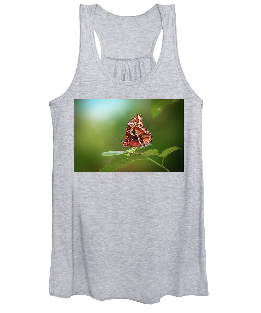 Butterfly Women's Tank Top featuring the photograph Blue Morpho Butterfly by Tim Abeln