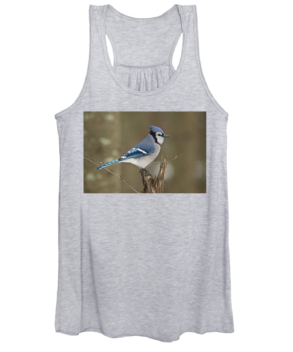 Bluejay Women's Tank Top featuring the photograph Bluejay 012 by Michael Peychich