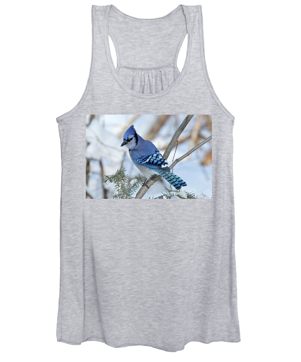 Bird Women's Tank Top featuring the photograph Bluejay 0296 by Michael Peychich