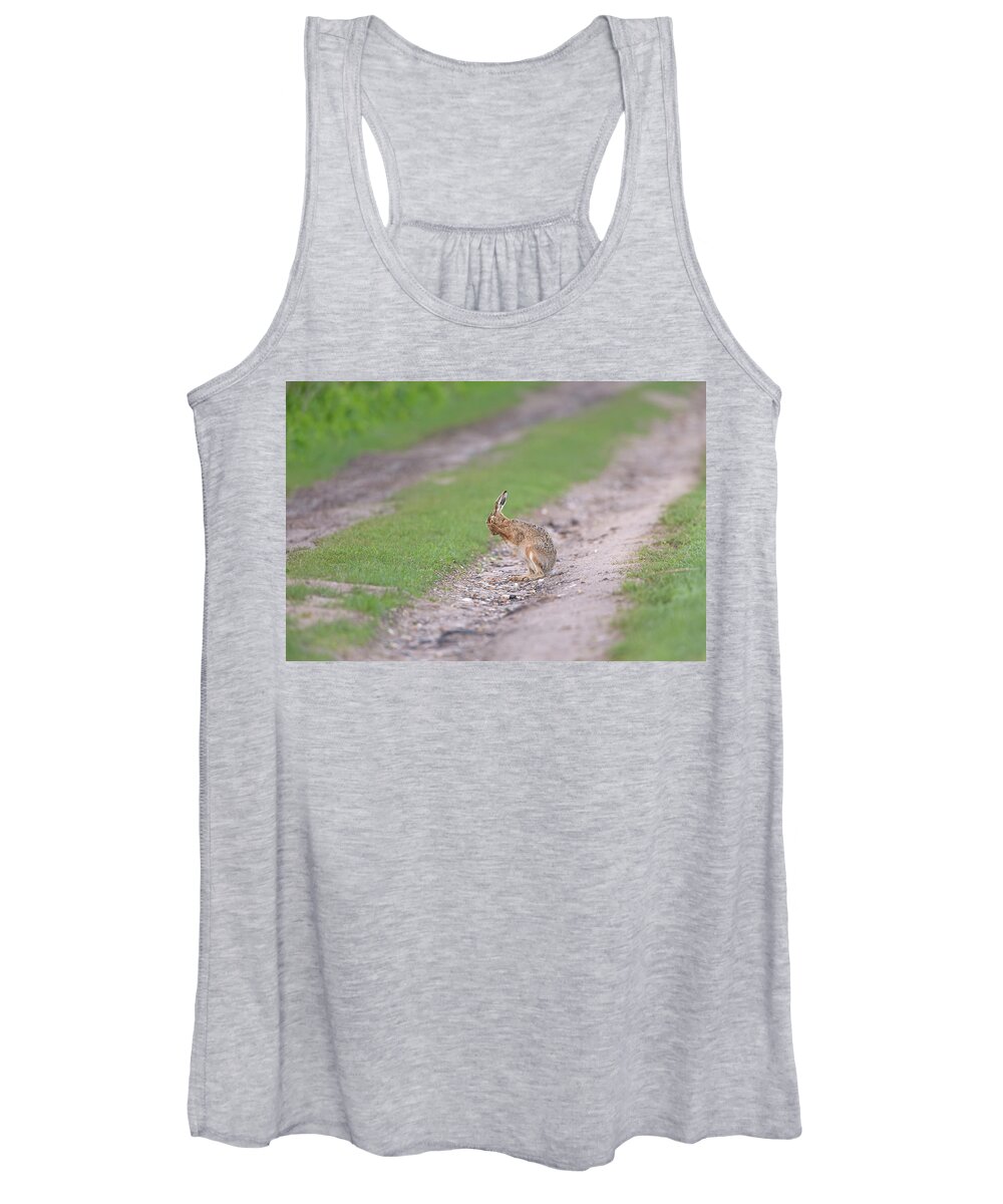 Brown Women's Tank Top featuring the photograph Brown Hare Cleaning by Pete Walkden