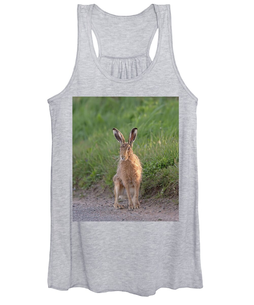 Brown Women's Tank Top featuring the photograph Brown Hare Sat On Track At Dawn by Pete Walkden