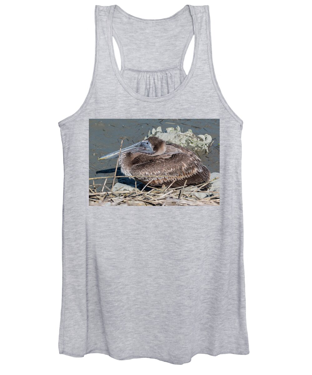 Pelican Women's Tank Top featuring the photograph Brown Pelican 3 March 2018 by D K Wall