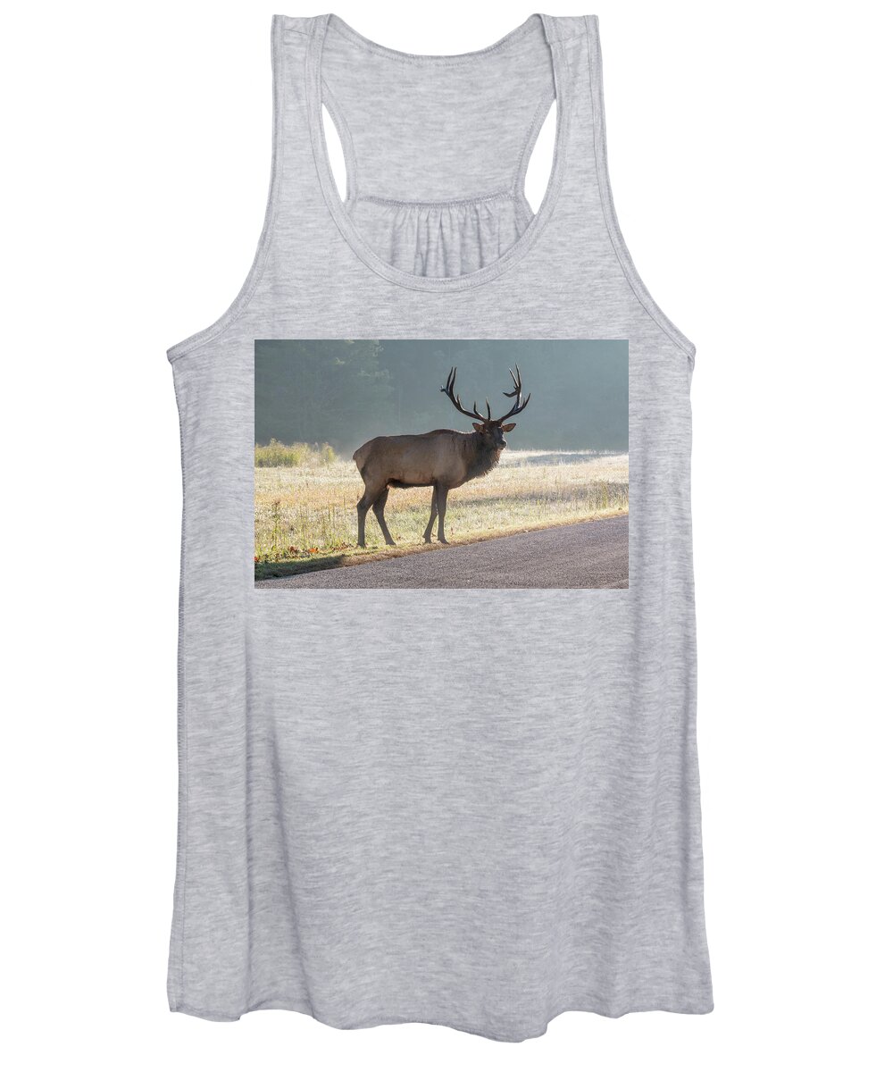 Bull Women's Tank Top featuring the photograph Bull Elk Watching by D K Wall