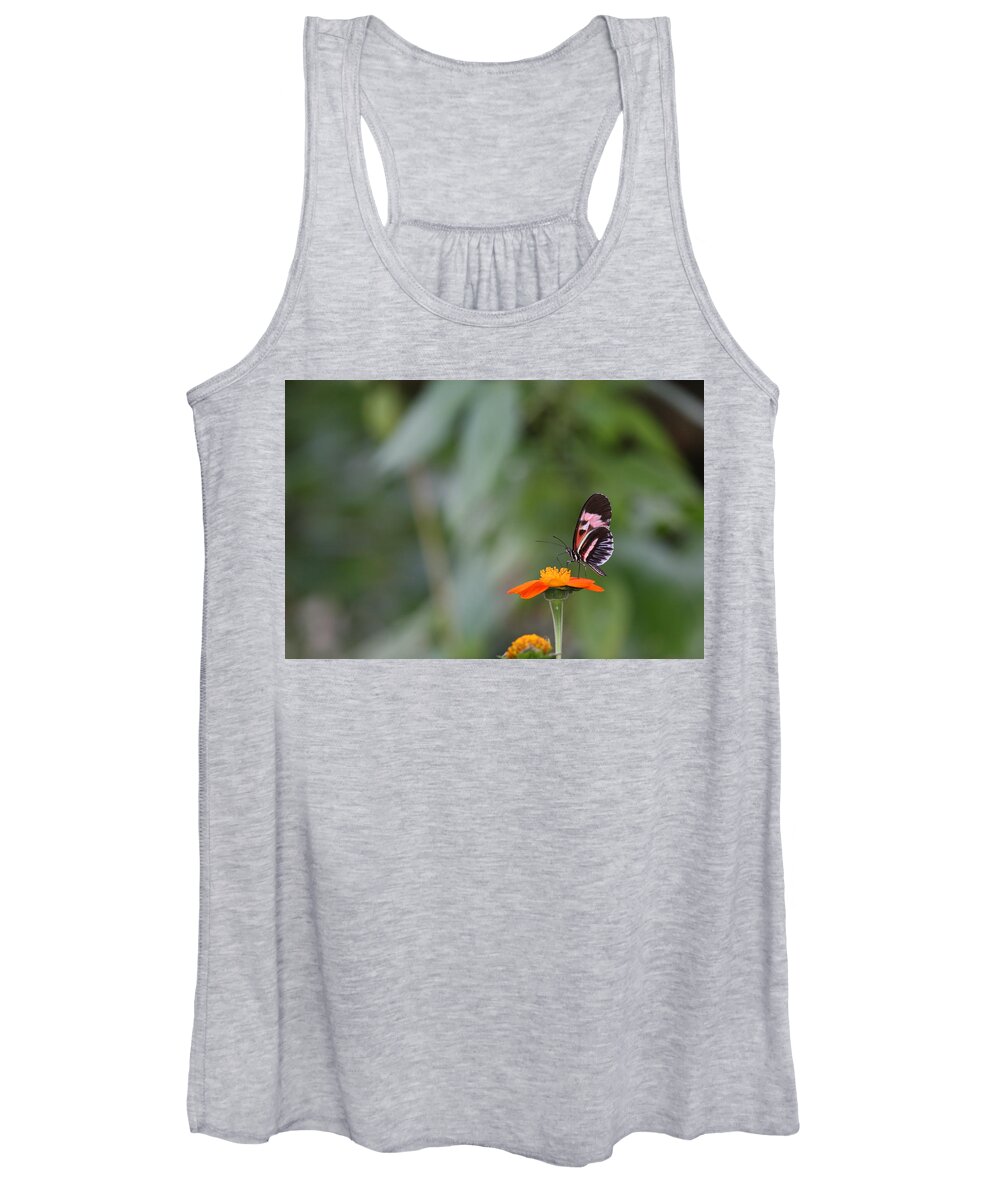 Butterfly Women's Tank Top featuring the photograph Butterfly 16 by Michael Fryd