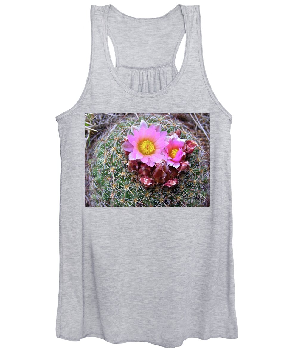 Cactus Flower Women's Tank Top featuring the painting Cactus Flower by Alan Johnson