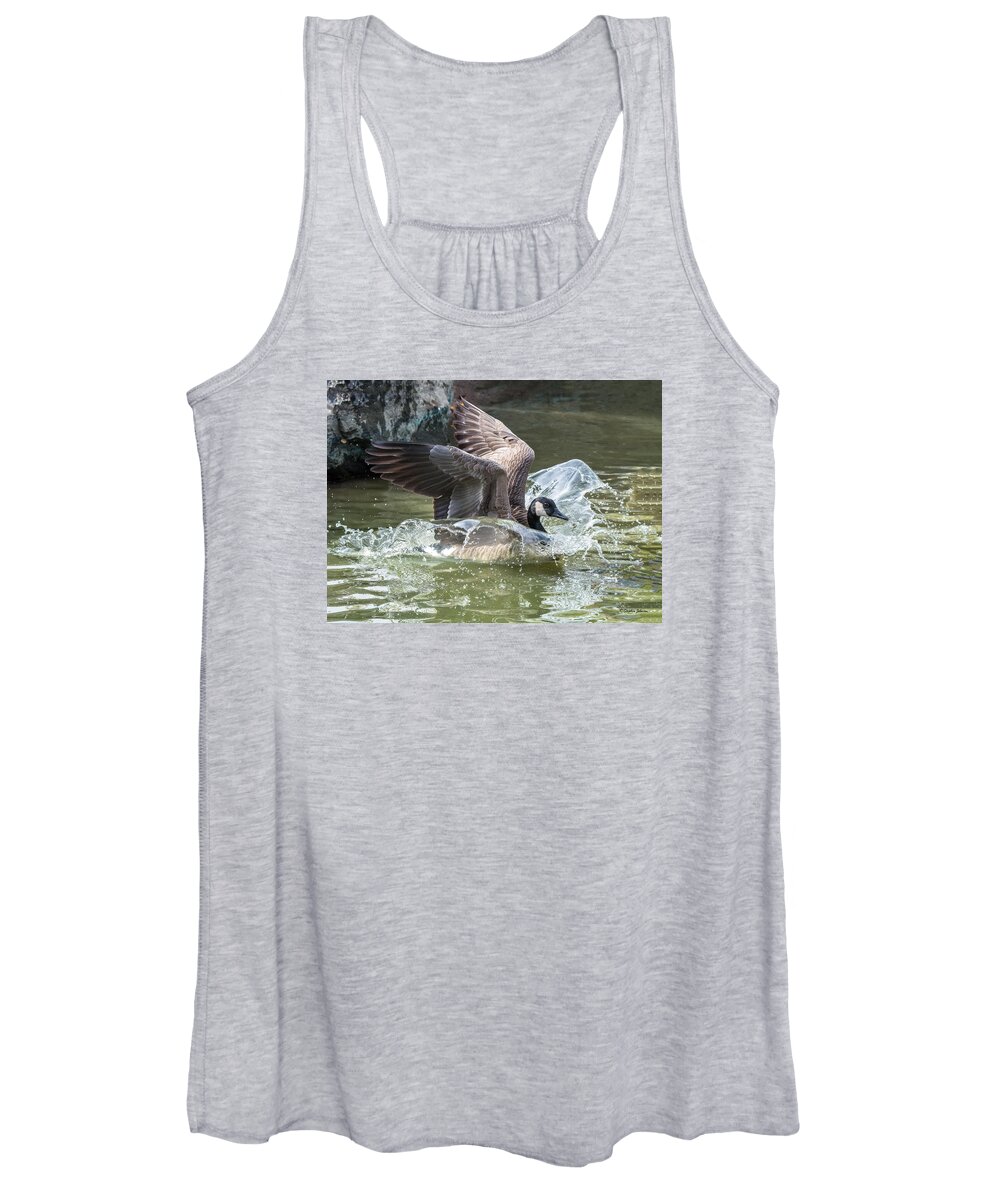 Canada Goose Women's Tank Top featuring the photograph Canada Goose Plunge by Stephen Johnson